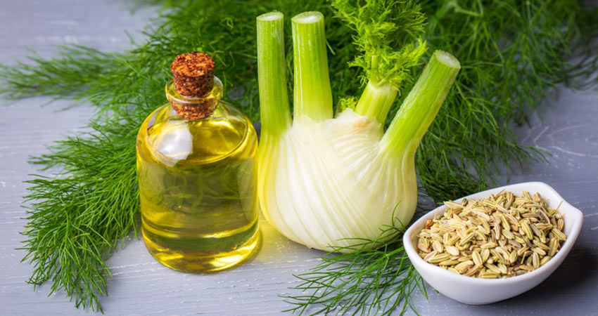 properties-fennel-oil-facial-blemishes2.jpg