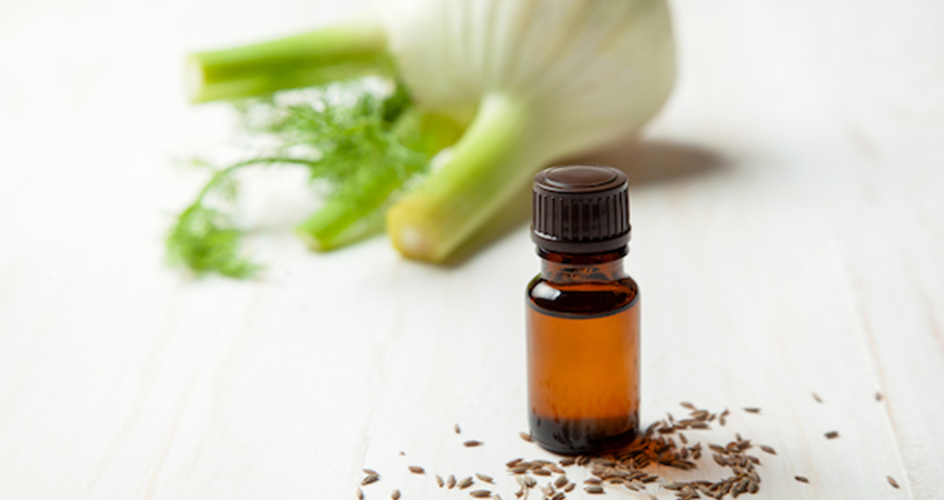 properties-fennel-oil-facial-blemishes8.jpg
